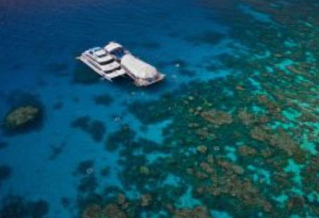 Great Adventures Reef And Green Island Cruises - Newcastle Accommodation 0