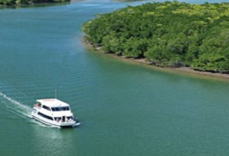 Cairns Harbour Cruises - Newcastle Accommodation 3