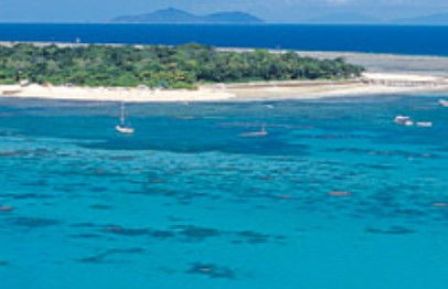 Cairns Seaplanes - Newcastle Accommodation 0