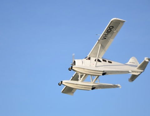 Cairns Seaplanes - Newcastle Accommodation 4