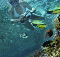 Calypso Reef Charters - New Castle Tourism