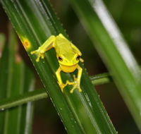 Daintree River Cruise Centre - New Castle Tourism