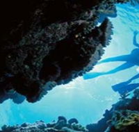 Deep Sea Divers Den - Newcastle Accommodation