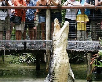 Wangetti QLD New Castle Tourism