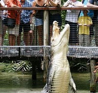 Hartley's Crocodile Adventures - New Castle Tourism