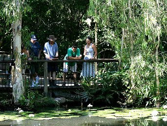 Hartley's Crocodile Adventures - New Castle Tourism 2