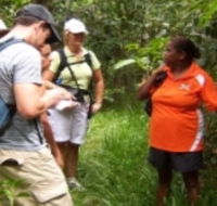 Ingan Tours - Spirit of the Rainforest Tour - New Castle Tourism