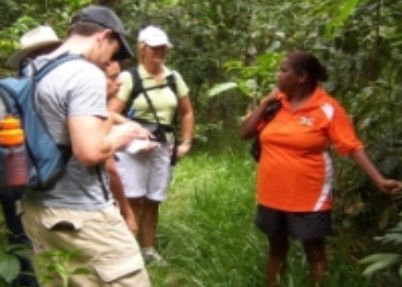 Ingan Tours - Spirit Of The Rainforest Tour - New Castle Tourism 0