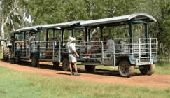 Whitsunday Crocodile Safari - Newcastle Accommodation 2