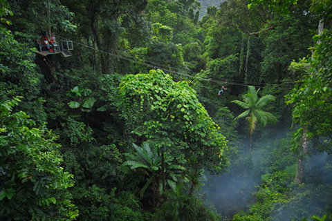 Jungle Surfing Canopy Tours And Jungle Adventures Nightwalks - Newcastle Accommodation 3