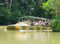 Rainforestation Nature Park - New Castle Tourism 4
