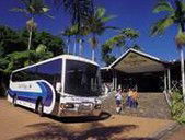 Rainforestation Nature Park - New Castle Tourism 5