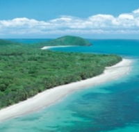 Reef and Rainforest Connections - New Castle Tourism