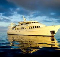 Spirit Of Freedom - Newcastle Accommodation