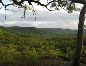 Cooktown Aboriginal Art Tours - New Castle Tourism 1