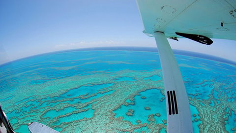 Air Whitsunday Day Tours - Newcastle Accommodation 0