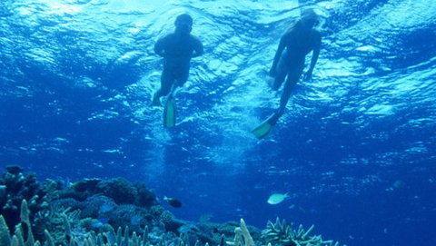 Air Whitsunday Day Tours - Newcastle Accommodation 1