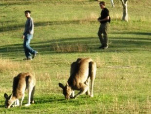 Southern Queensland Country QLD Newcastle Accommodation
