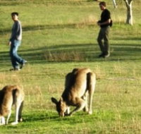 Araucaria Ecotours - Newcastle Accommodation
