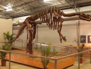 Winton QLD New Castle Tourism