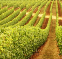 Wignalls Winery - Newcastle Accommodation