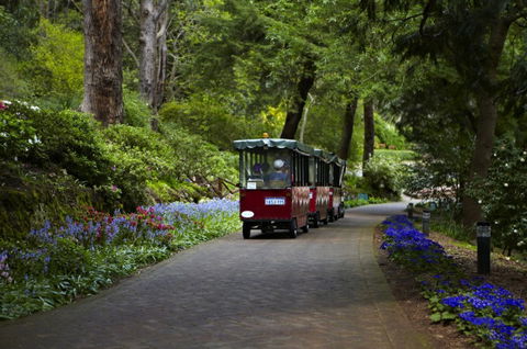 Araluen Botanic Park - New Castle Tourism 0