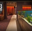 AB Hotel - New Castle Tourism