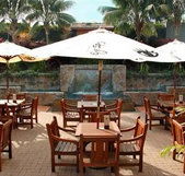 Mona Vale Hotel - New Castle Tourism