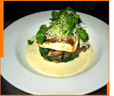Bar Corvina - Newcastle Accommodation 2