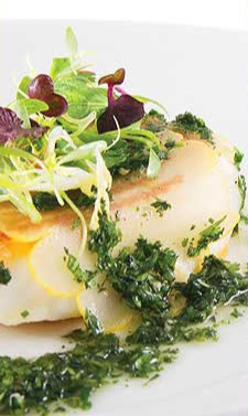 Half Moon Brighton - Newcastle Accommodation 1