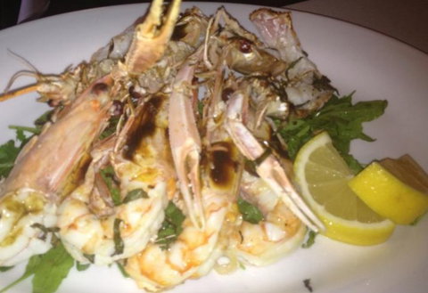 L'olio - Newcastle Accommodation 1