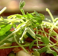 Wild Hearts Cafe Restaurant - New Castle Tourism