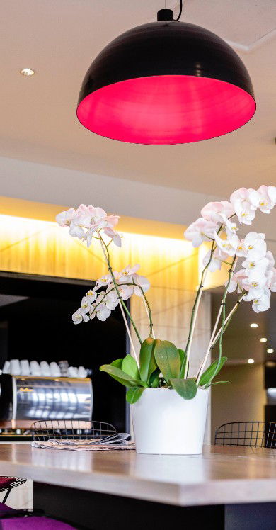 MRepublic Restaurant, Bar And Lounge - Newcastle Accommodation 4