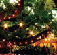 The Oaks - New Castle Tourism