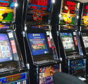 Katherine Country Club - Newcastle Accommodation