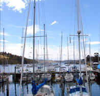 Oyster Cove Inn - Newcastle Accommodation