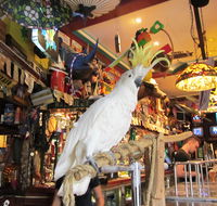 A Friend In Hand - New Castle Tourism