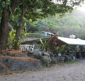Ellis Beach Bar  Grill - New Castle Tourism