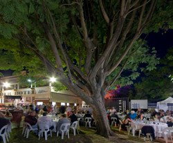 Premier Hotel - Newcastle Accommodation 2