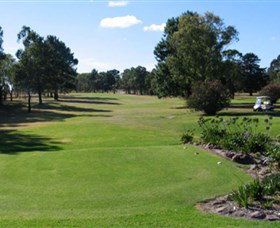 Branxton NSW New Castle Tourism
