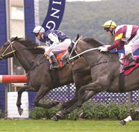 Gosford Race Club - Newcastle Accommodation