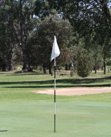 Inverell Golf Club - Newcastle Accommodation 1