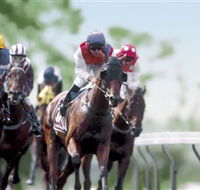Colac Turf Club - New Castle Tourism