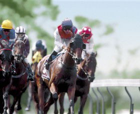 Colac Turf Club - New Castle Tourism 0
