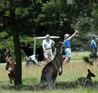 Glen Innes Golf Club - Newcastle Accommodation