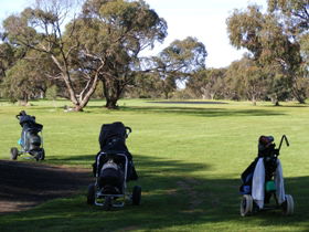 Minlaton Golf Club - New Castle Tourism 3