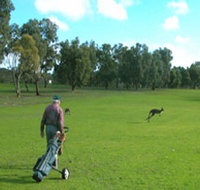 Coffin Bay Golf Club - Newcastle Accommodation