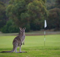 Anglesea Golf Club - Newcastle Accommodation