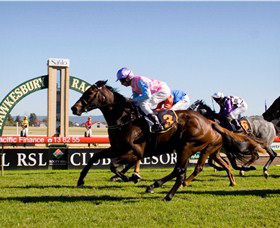 Hawkesbury Race Club - New Castle Tourism 1