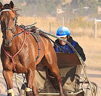Ballarat  District Trotting Club - Newcastle Accommodation